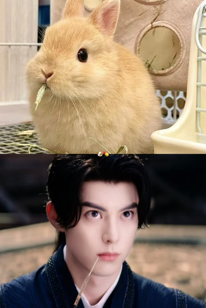 王鹤棣派许七安出征阅文盛典 盛典上那个铜锣手势，比红毯上的任何造型都让人破防。因