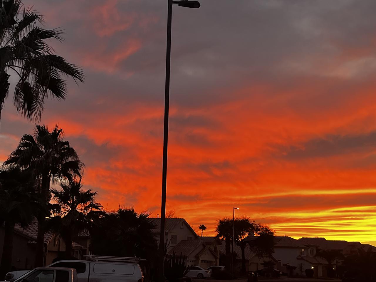 严龙宁：    新春随想……

        春天是一首诗，春天是一支歌，春天