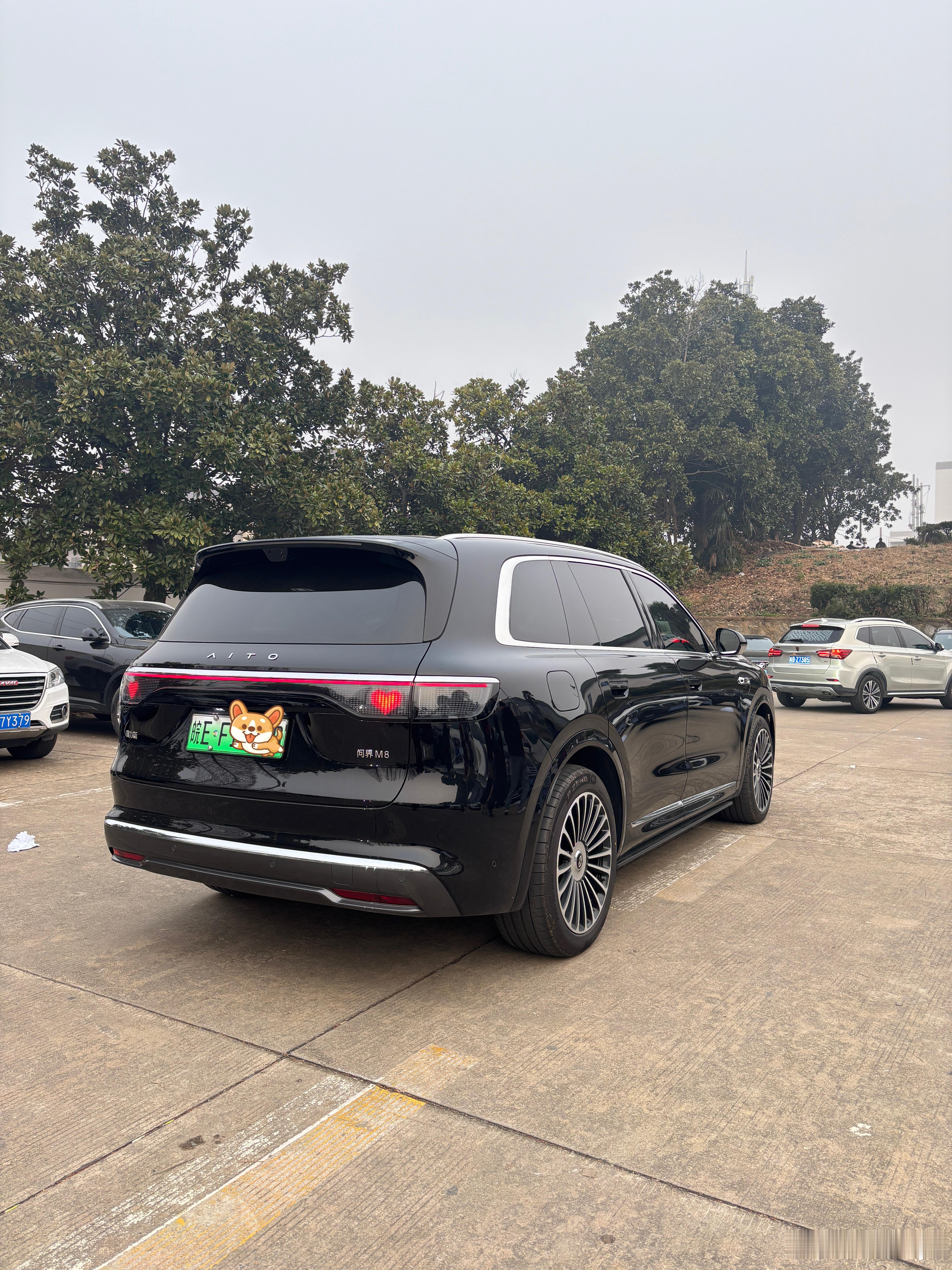 今天路上遇到好几次问界了，这个爱心尾灯真的好显眼问界m9