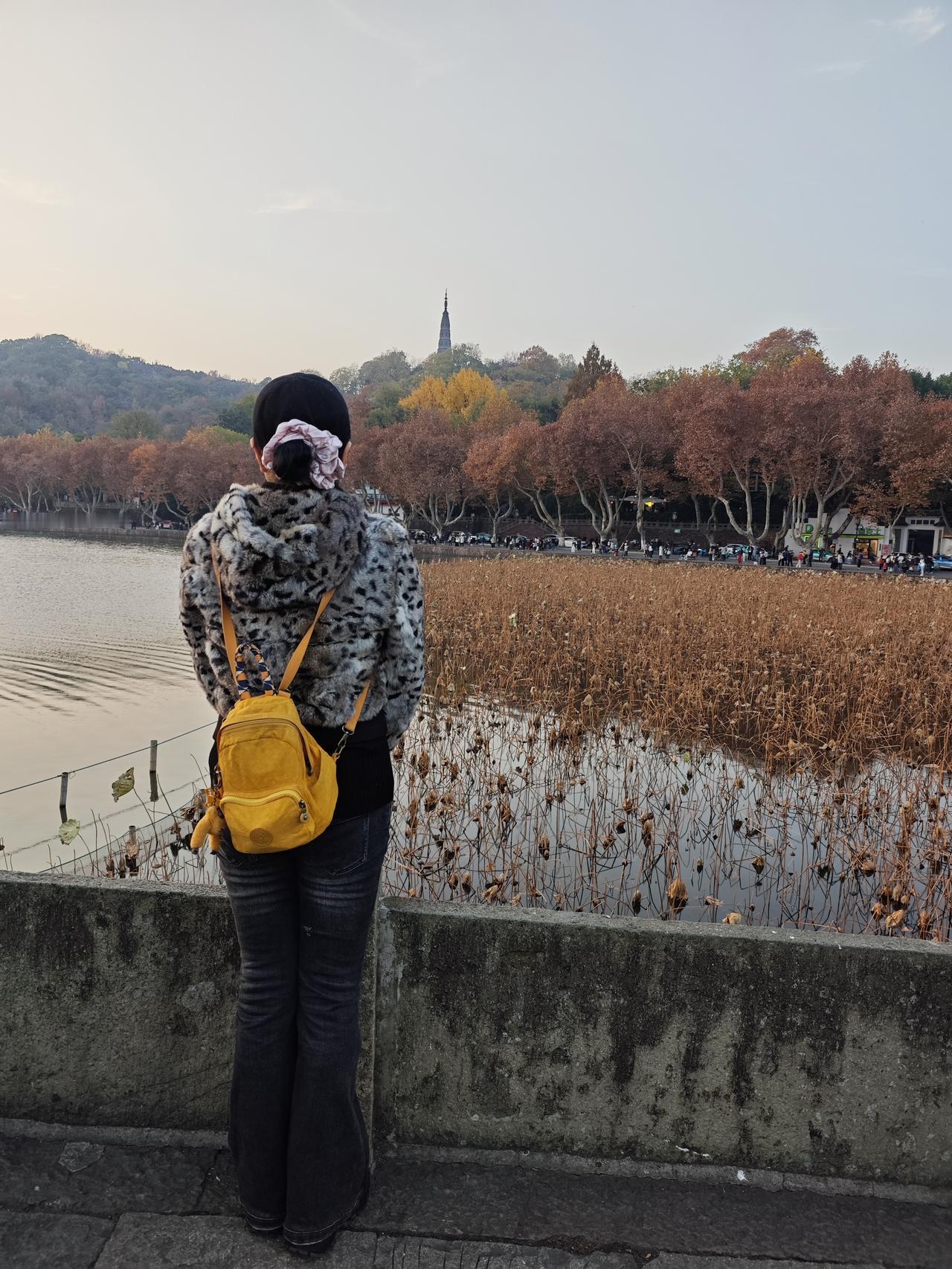 夕阳之下，冬日的西湖断桥美景一览无余，美的不可描述，只有用内心去感受！

湖中焦