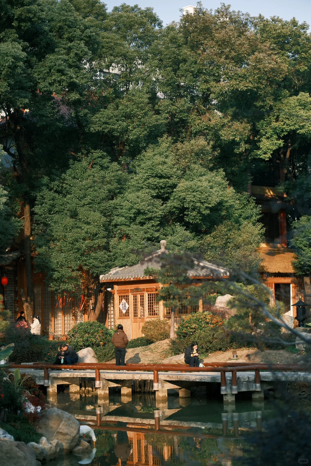 Fujifilm｜禅房花木深