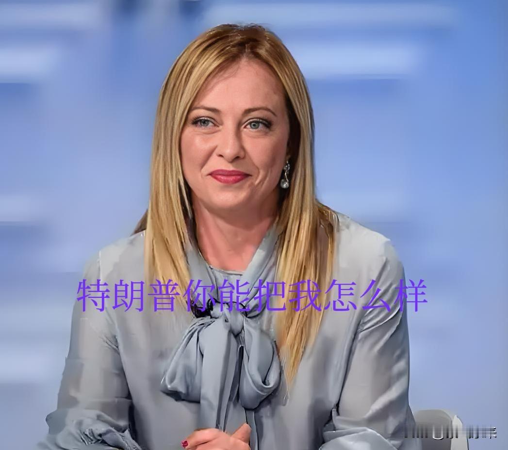 巾帼不让须眉——梅洛尼

意大利总理梅洛尼让特朗普很没有面子

梅洛尼明确拒绝美