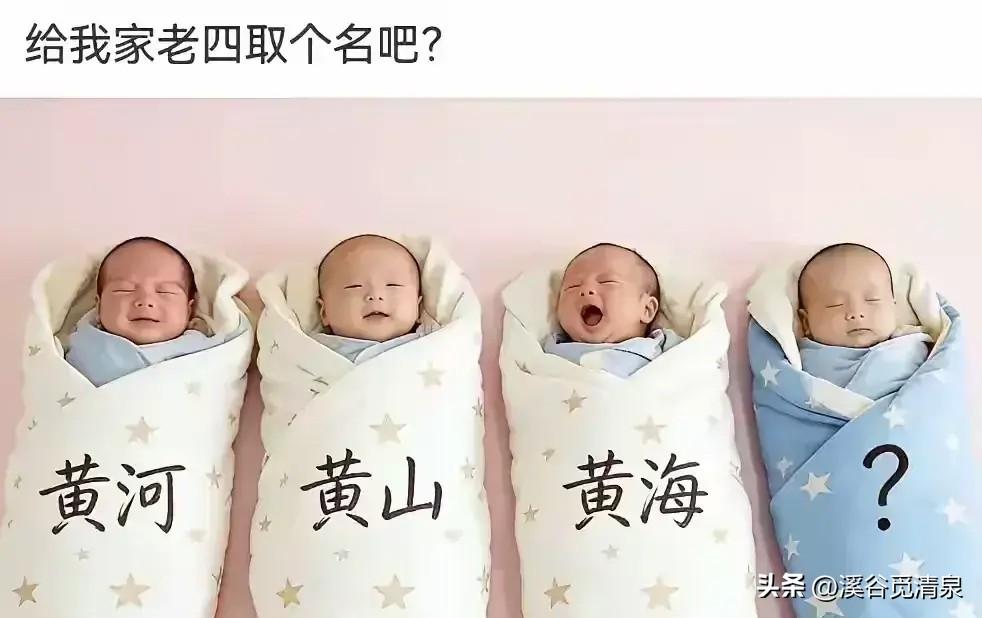 四胞胎三个都取好名了，谁能给老四取一个名字，要起一个高大有档次的。而且非常好记的