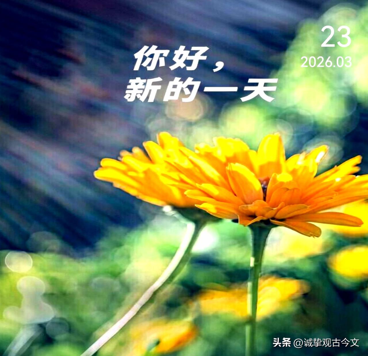 清晨的风带着暖意，阳光洒在肩头，新的一天，心怀热爱，步履不停。无论多远的路，只要