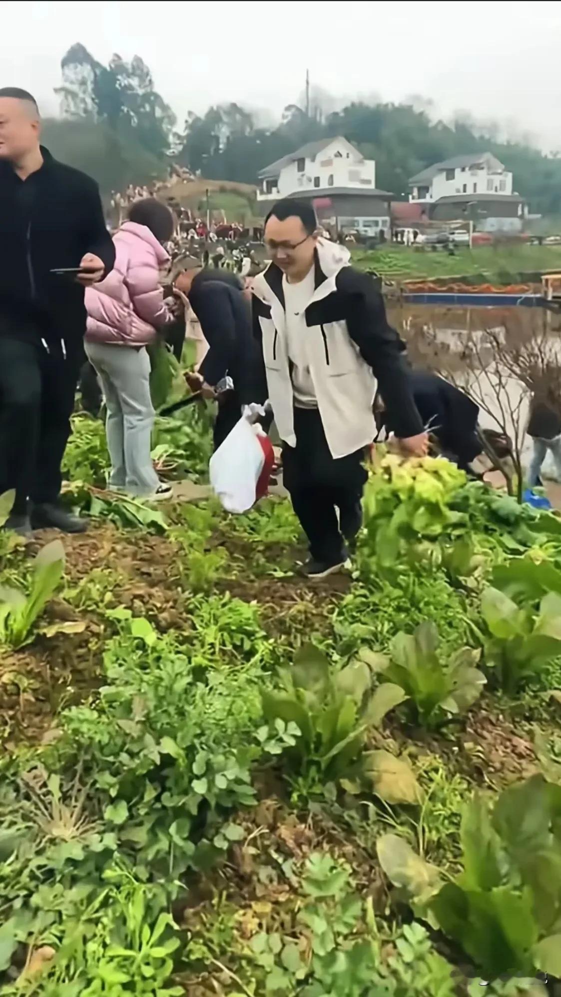 这种习俗不应该发扬，也不值得提倡。虽然不是偷青买不起，不管是什么寓意好彩头，大家