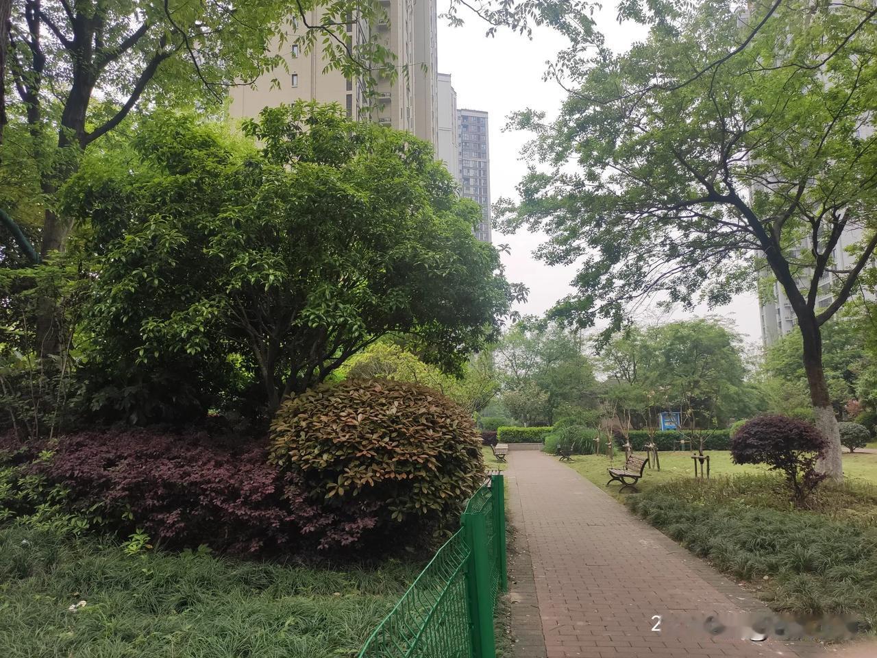 子宫肌瘤中度贫血血红蛋白76，调理快两个月气血强了很多，开心不已。
3月初月经量