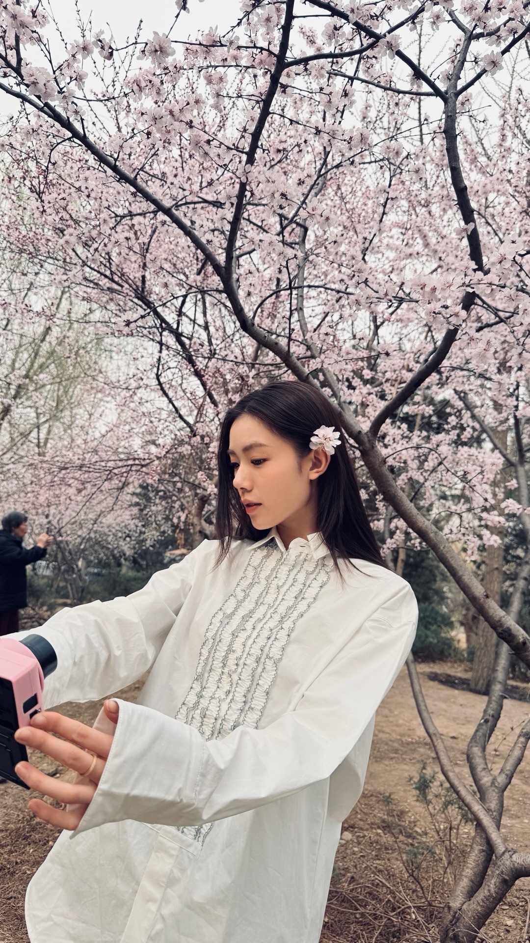 在家憋坏了 赶上樱花🌸盛开lily姐不让我走路 硬要给我整了个轮椅推着 谁懂在