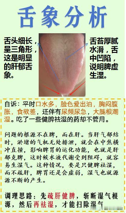 【舌象分析——湿气重，口水多，舌头形状倒三角，只健脾祛湿根本没有用！】

免费分