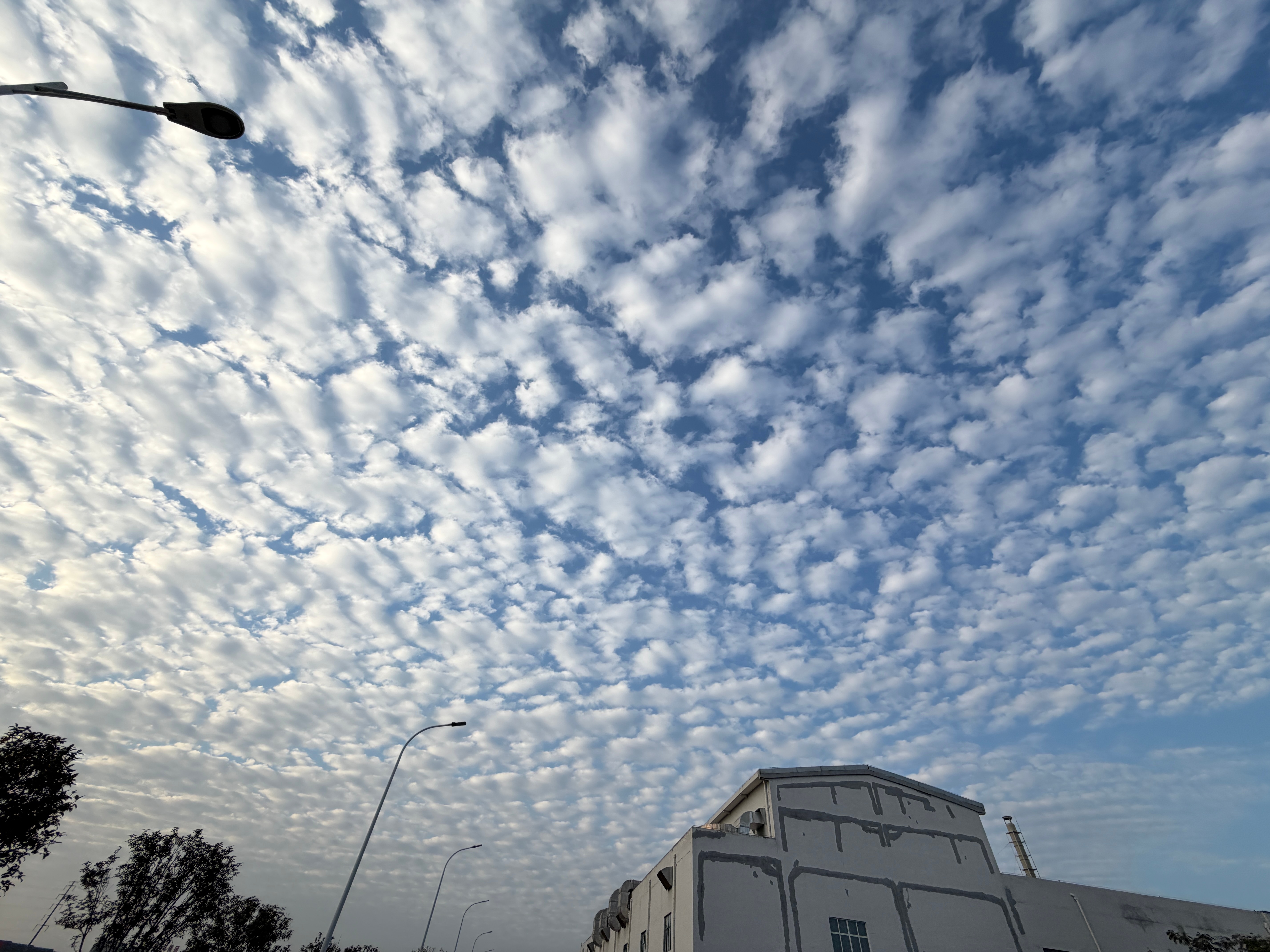 早安.你该有的样子：十分沉静沉淀心性，九分气质涵养底蕴，八分资产筑牢底气，七分现