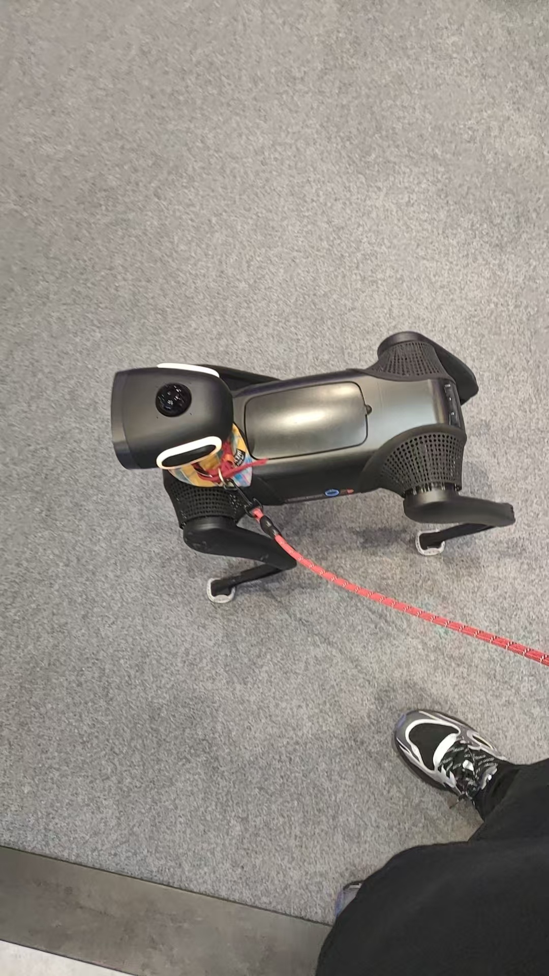 北京车展一男子竟然在遛狗 走了12000步的我看见这俩人在车展遛狗忍不了了… 不