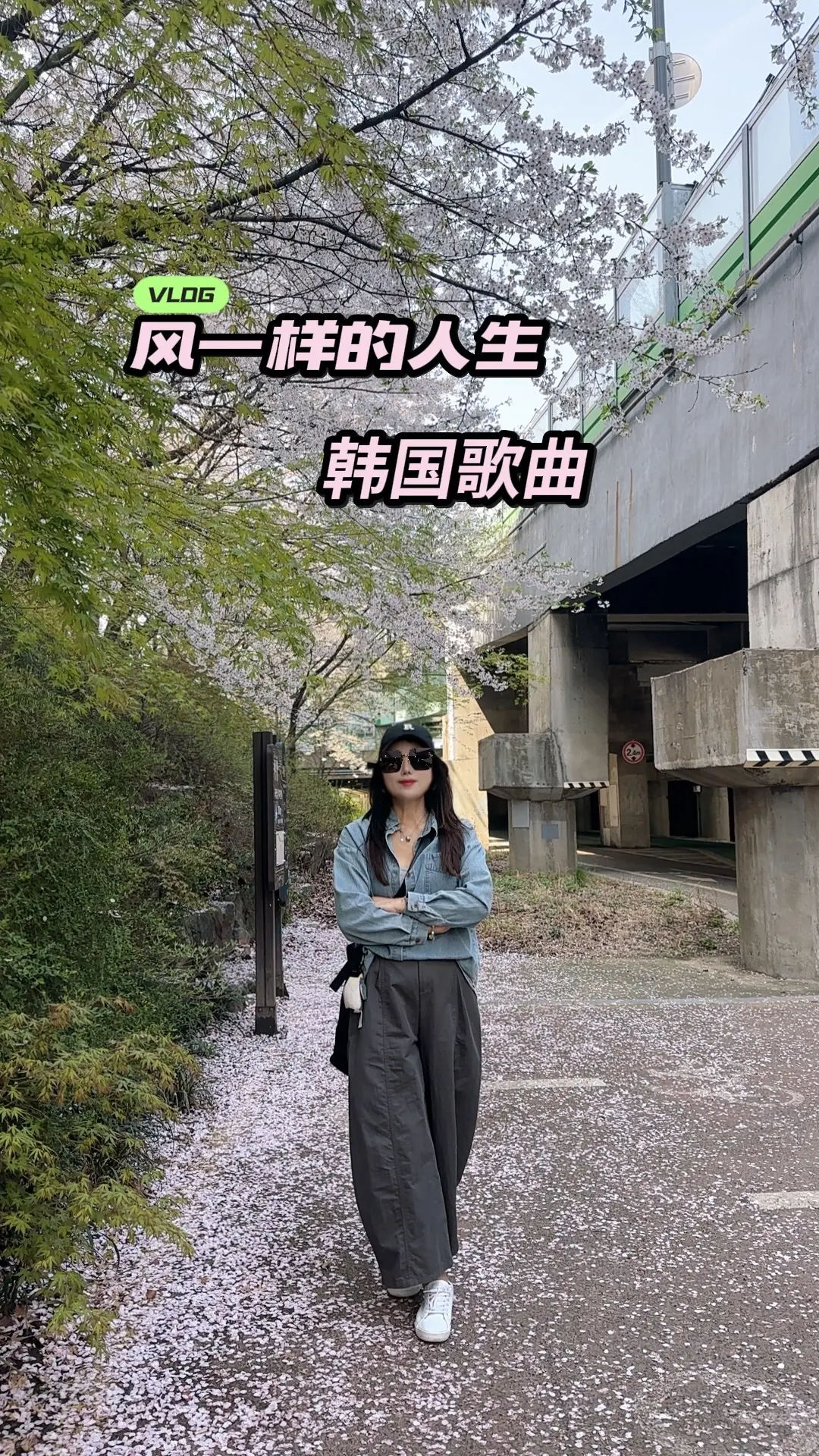 韩国歌曲分享 穿搭 樱花春日穿搭 创作人计划