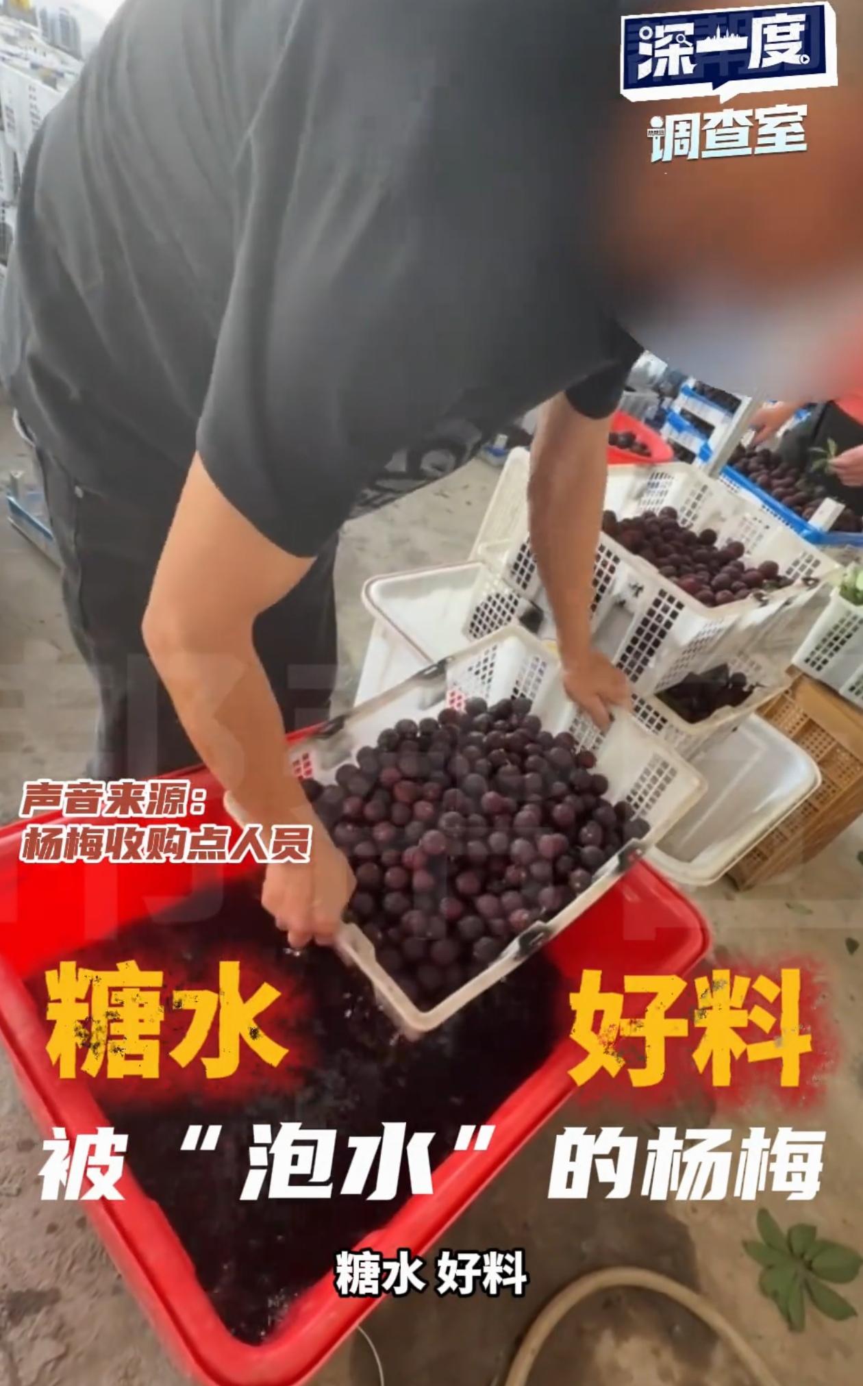 良心不会痛吗？5月15如宁波晚报报道，福建漳州，记者去杨梅收购点暗访，随手拿起一