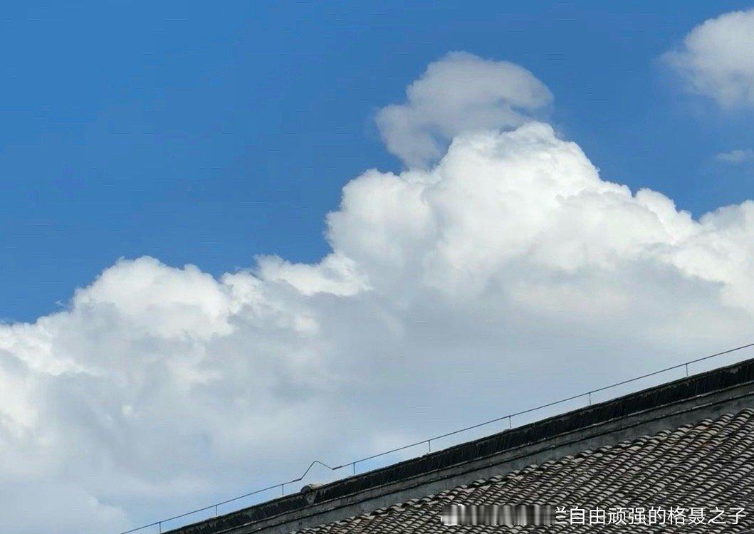 春夏秋冬四季轮回，一切都是刚刚好。 