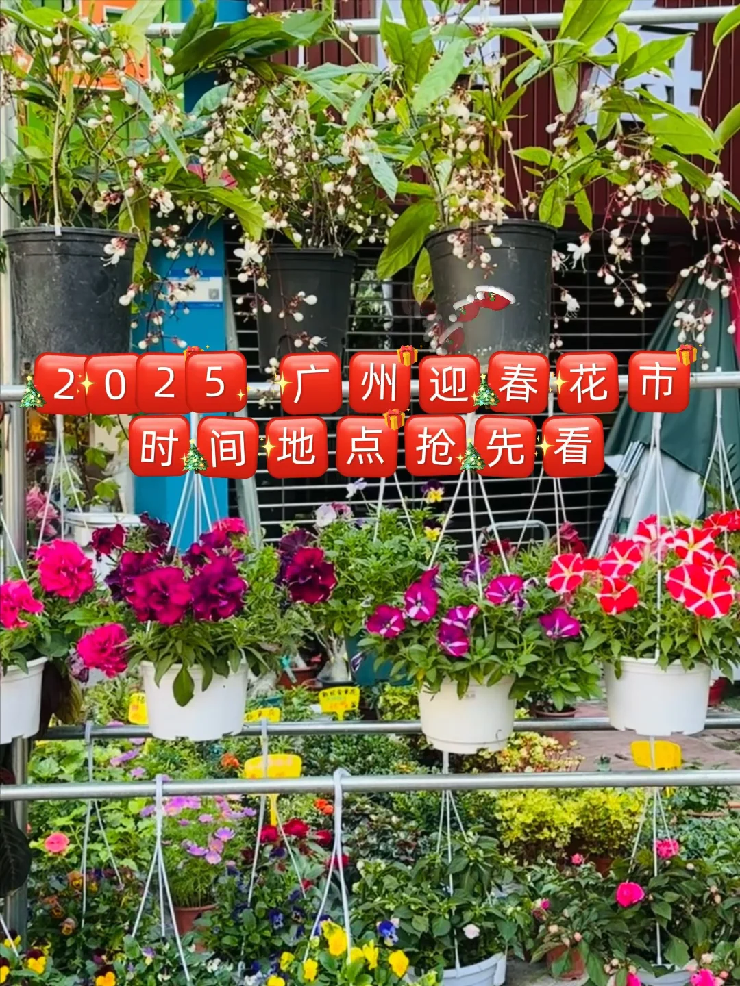 2025 广州迎春花市全攻略  时间地点抢先看