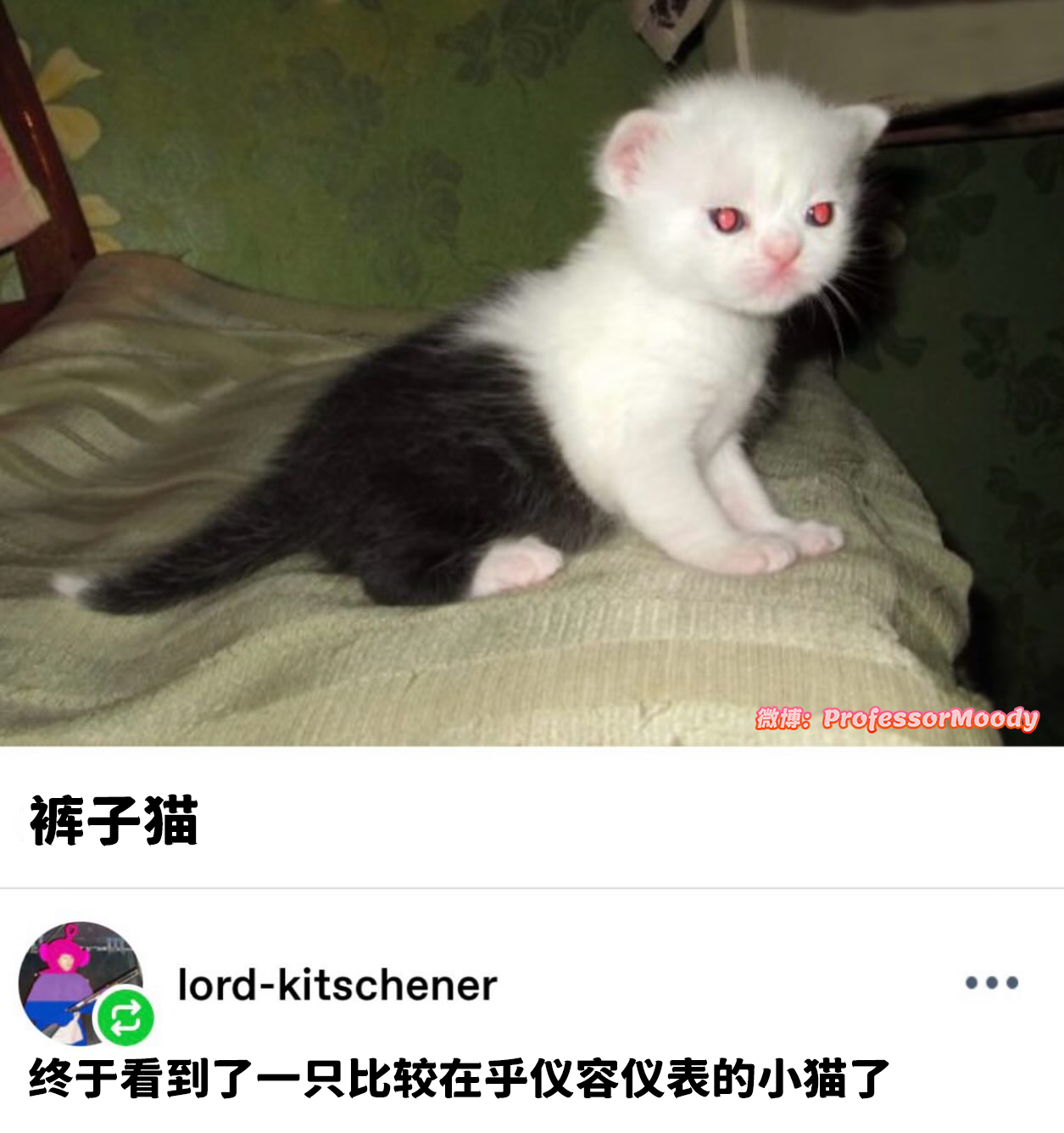 那你的衣服呢？meme