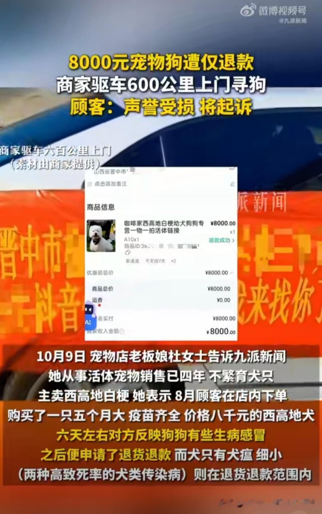 又是仅退款惹的祸！山西晋中，8月份，顾客刘先生花8000元从网上买了一只西高地犬