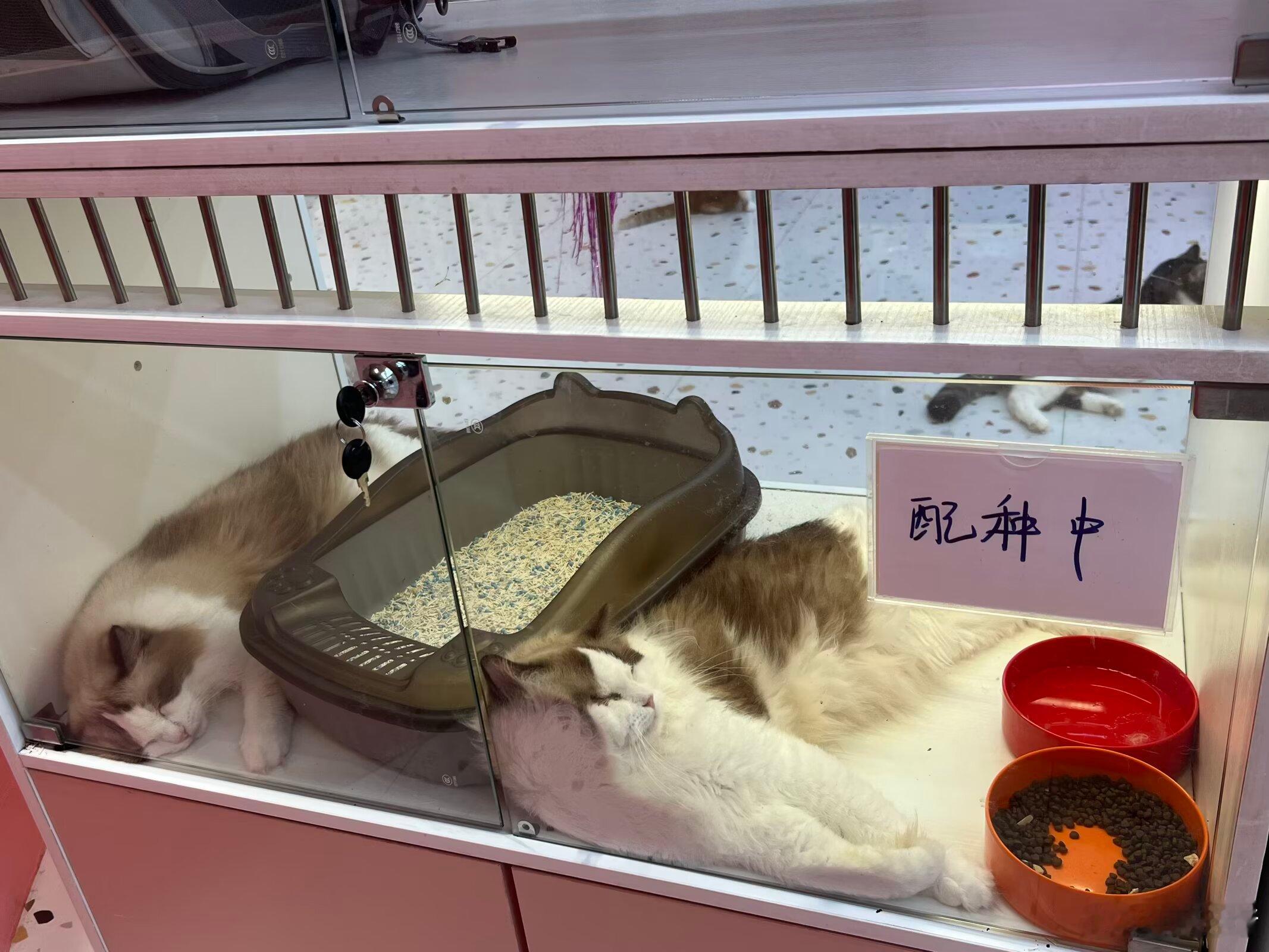 把家产关进不xx就出不去的房间 ​​​