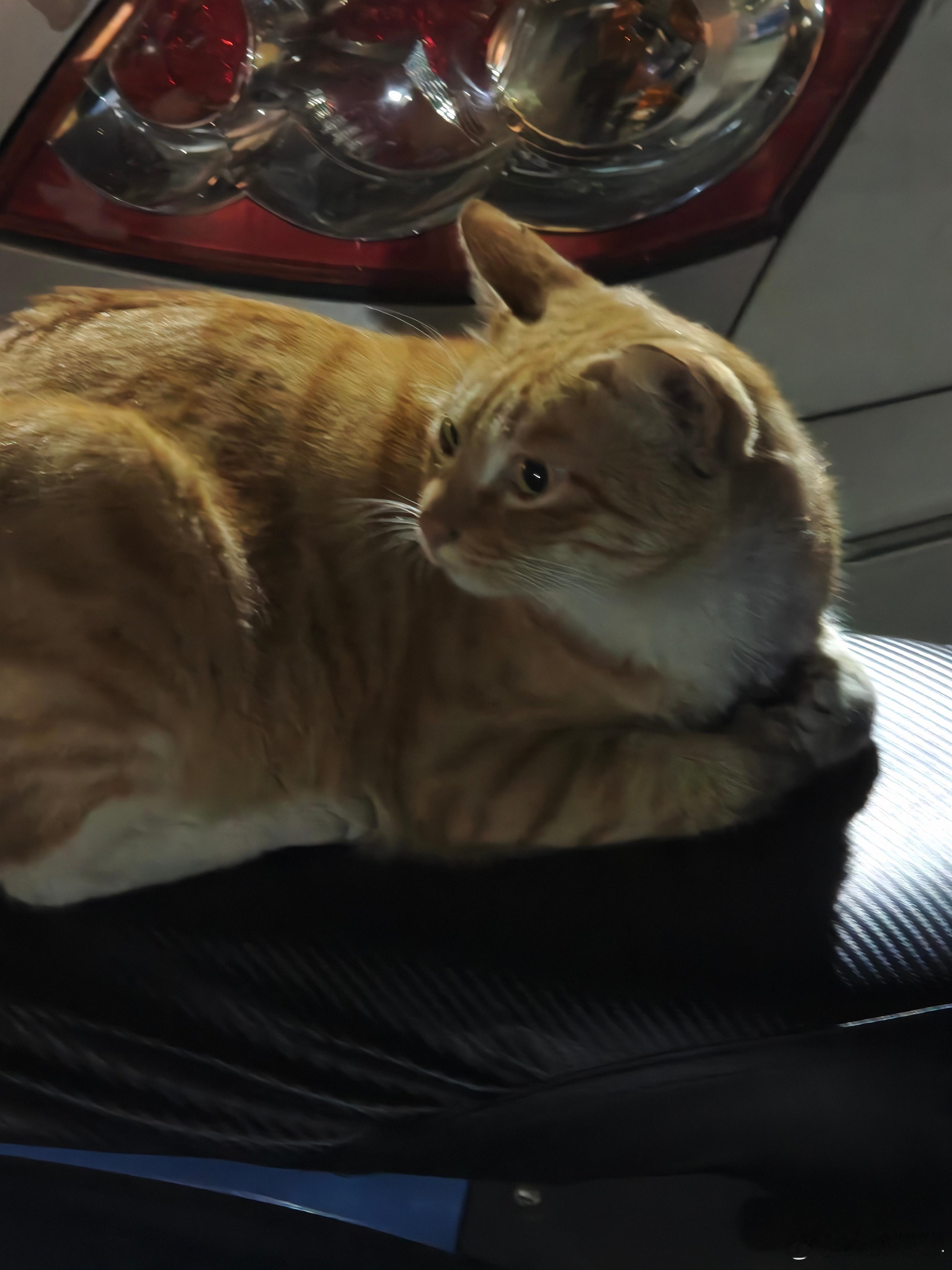 晚上回家碰到一对情侣头像电车同学随便聊