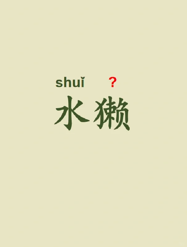 今天来学习——水獭