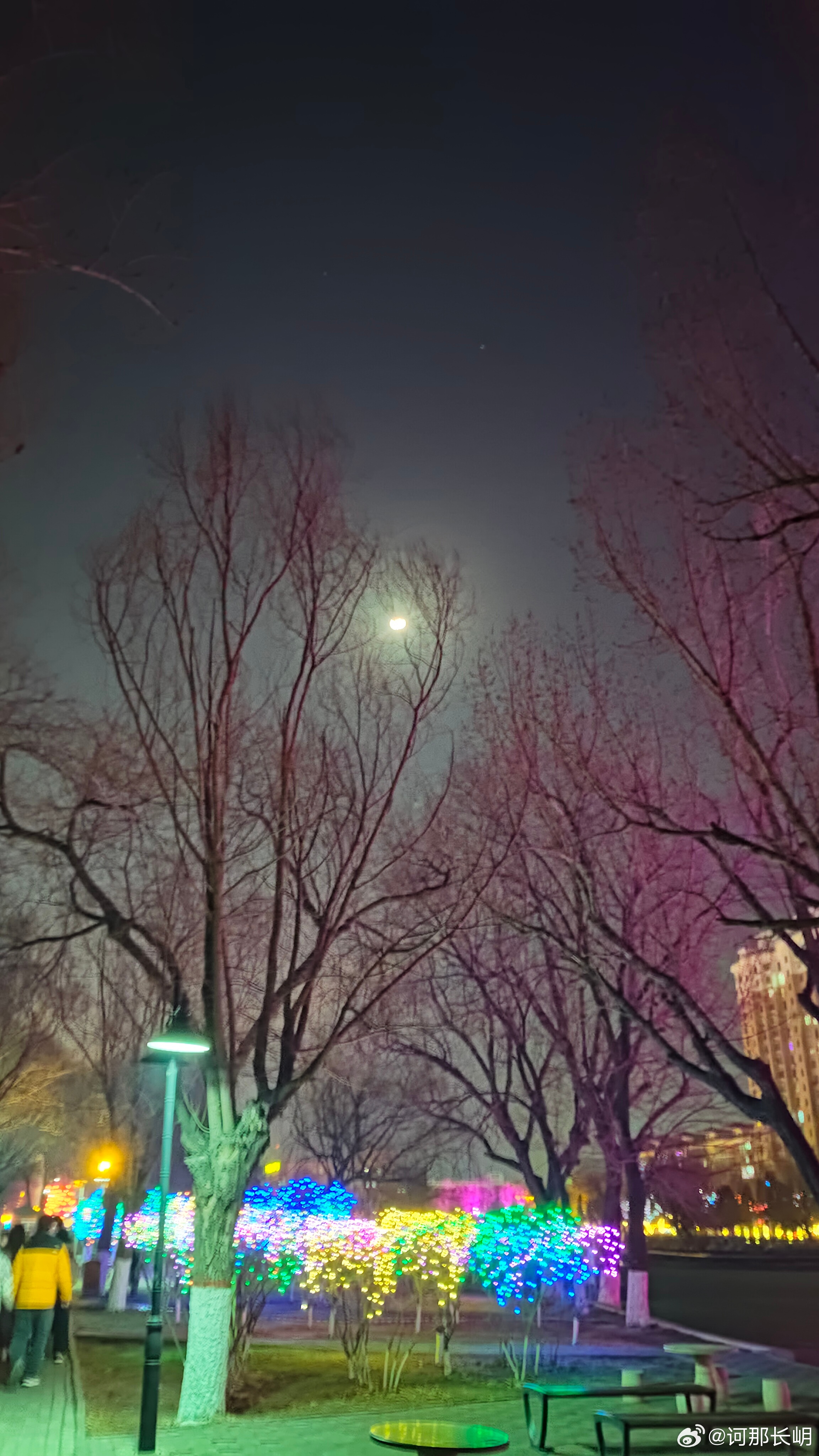 早安，周日快乐！ 