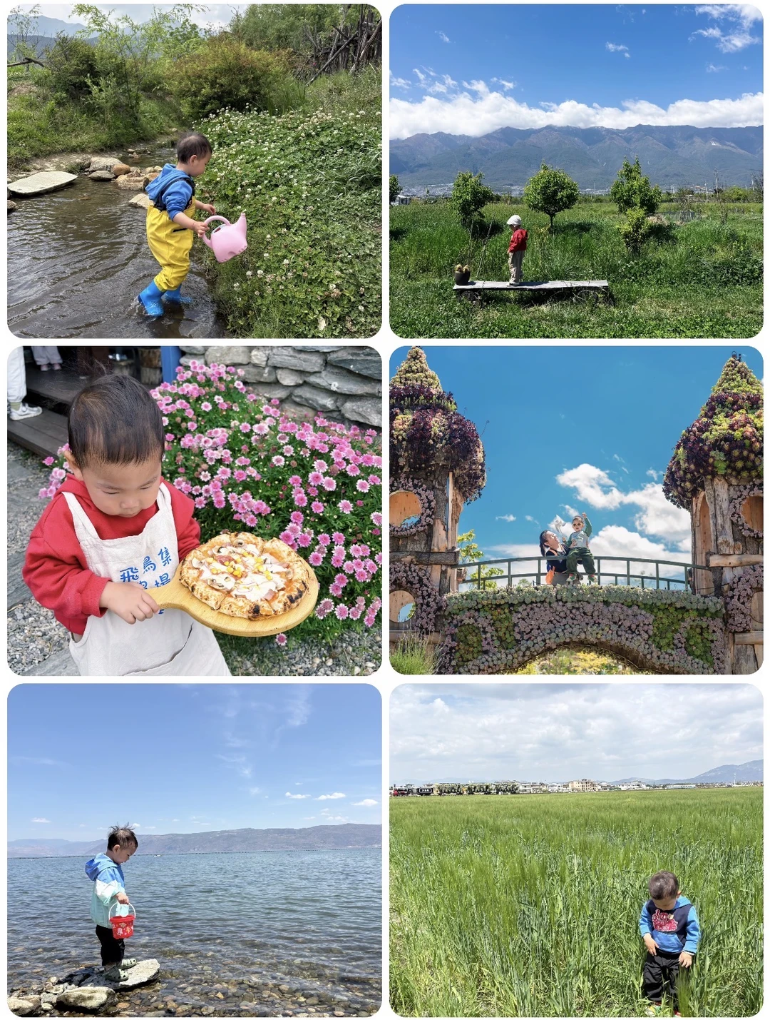 写在旅居后，大理遛娃红黄榜