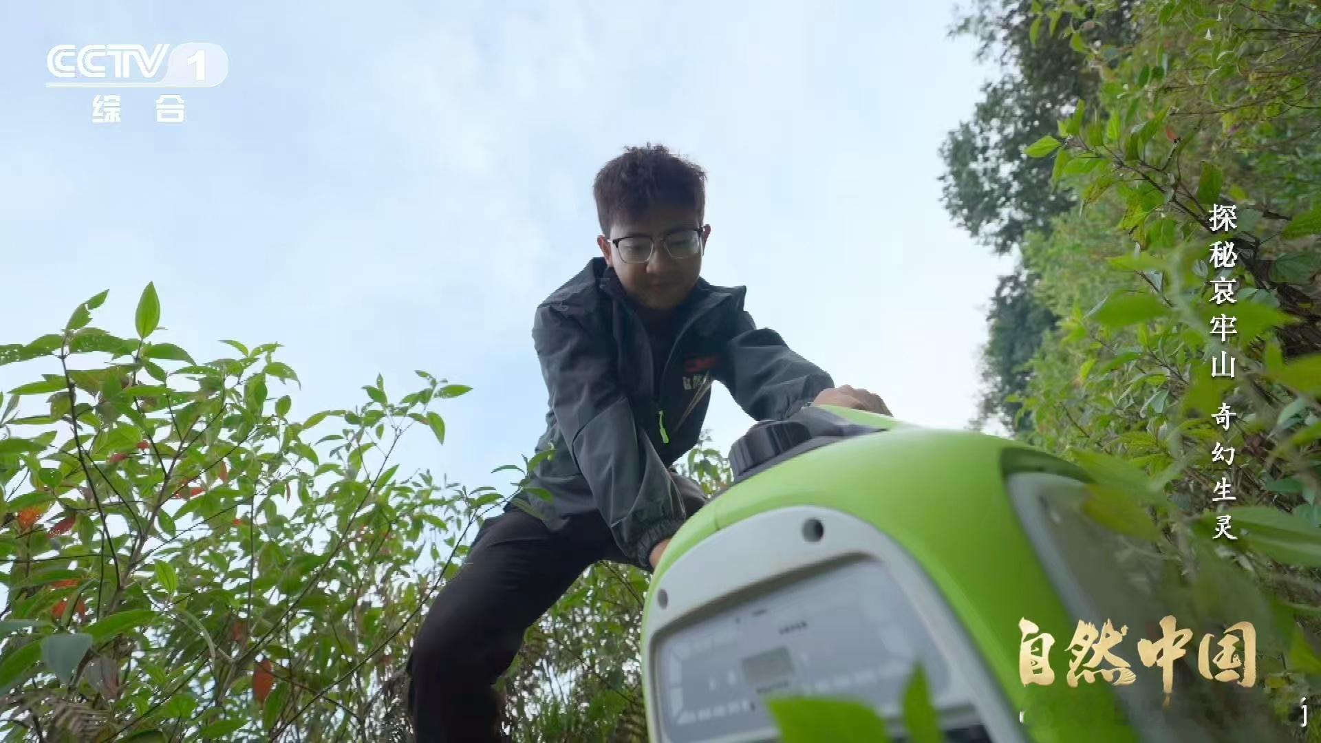 云南哀牢山这种蛾子一碰就叫这种天蛾出场自带BGM 乌桕大蚕蛾静静展翅，卷蛾悄悄爬