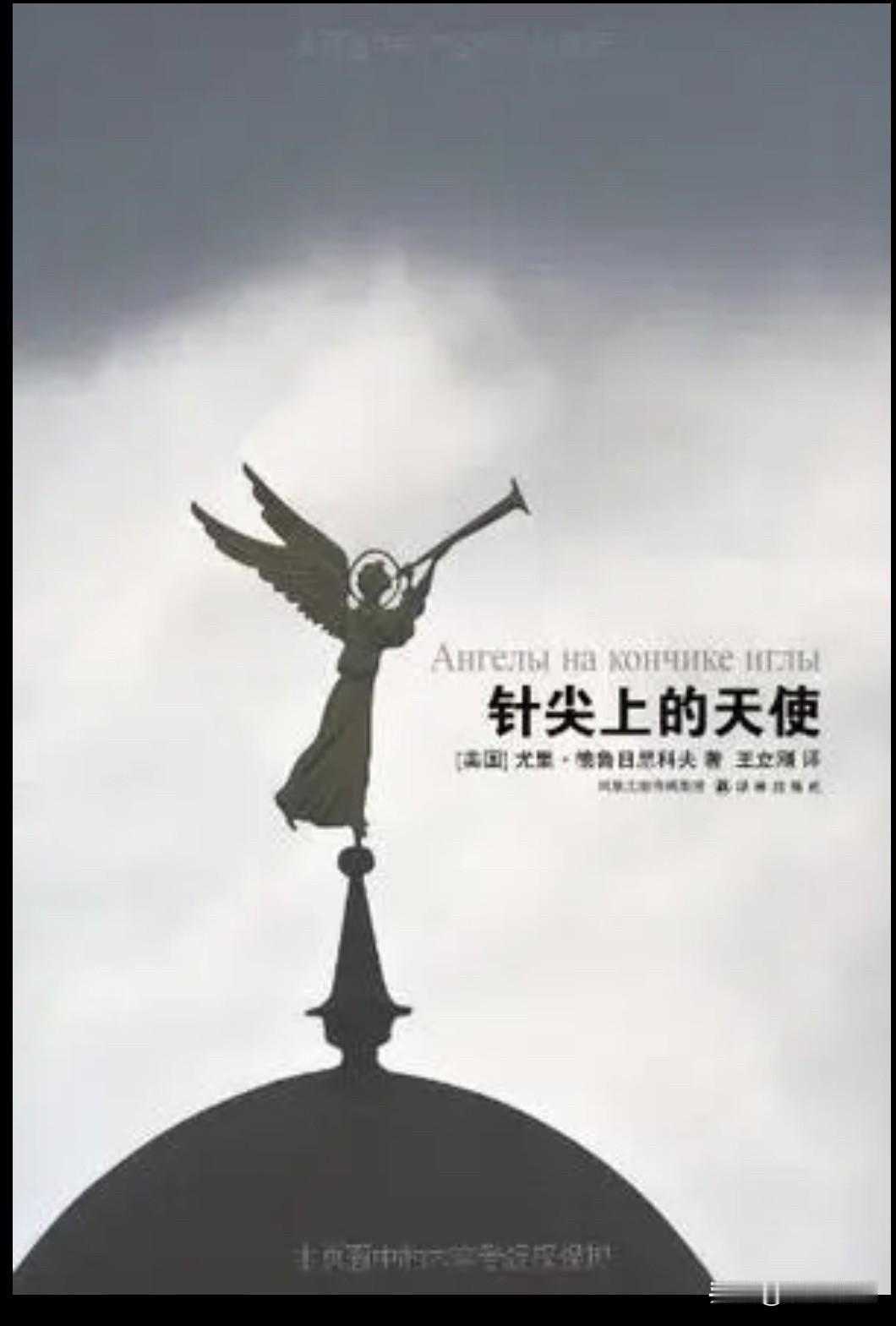 尤里·德鲁日尼科夫在《针尖上的天使》一书描绘的20世纪70年代的苏联，《劳动真理