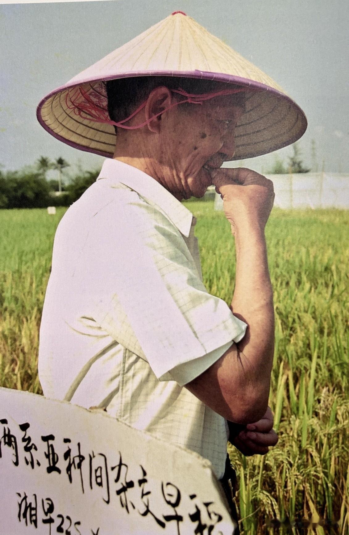1995年，两系法杂交水稻研究取得成功。这不仅是袁隆平科研生涯的又一座高峰，更是