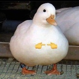 暖蝶谈谈科技