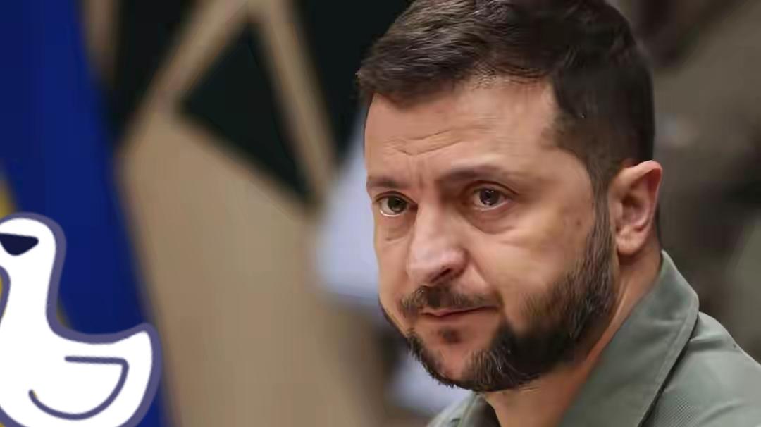 乌克兰总统突然宣布了
12月21日，乌克兰总统泽连斯基对外宣布：他公开支持举行美