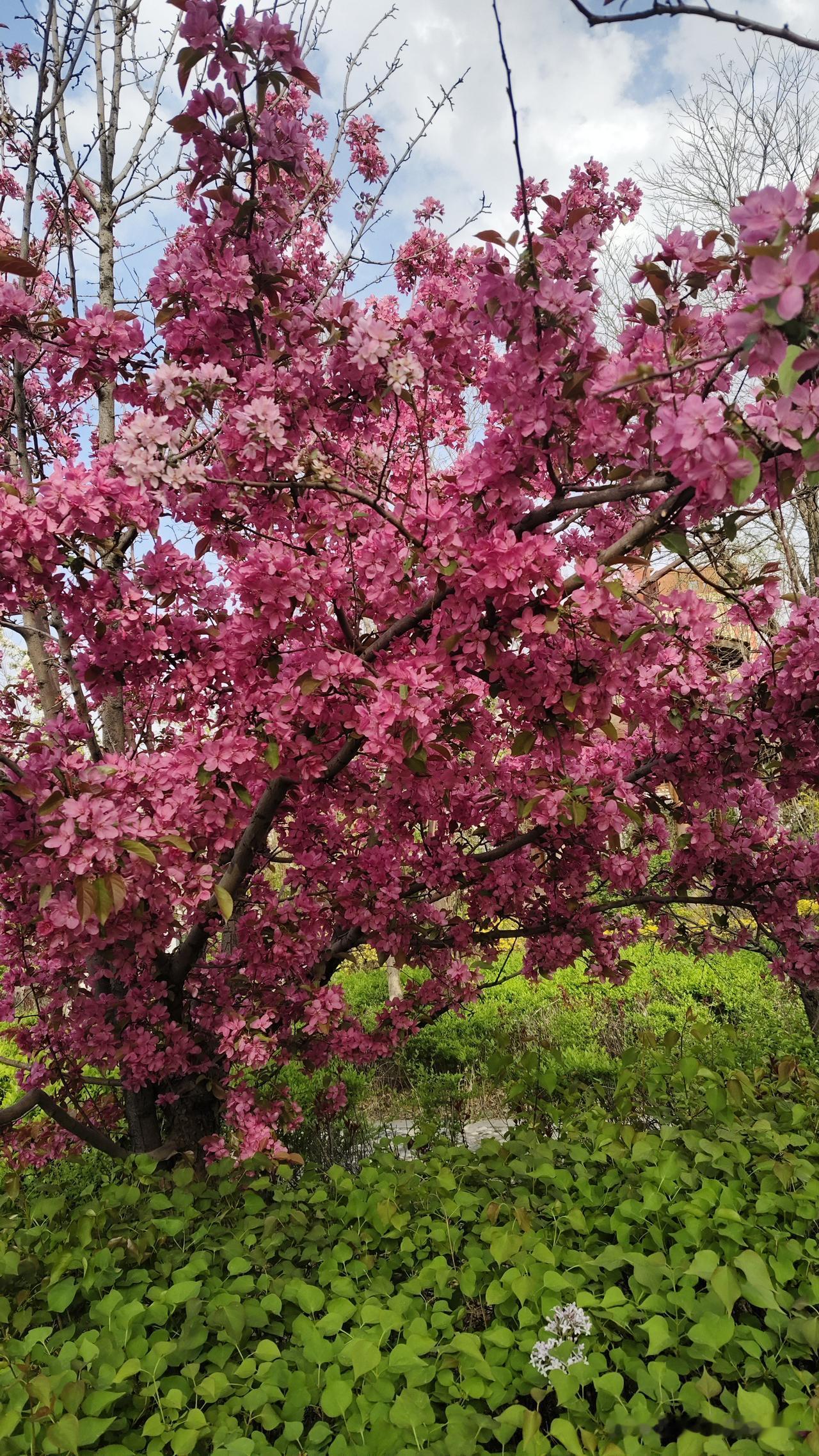 有个老人确诊自己是直肠癌后，就非常伤心，电话跟两个弟弟诉说，两个弟弟都建议她做手