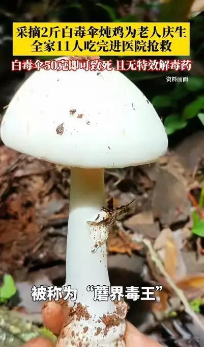 悲剧，往往就在你不经意间悄悄发生——广东惠州的张先生，本想给家里老人过个难忘的生