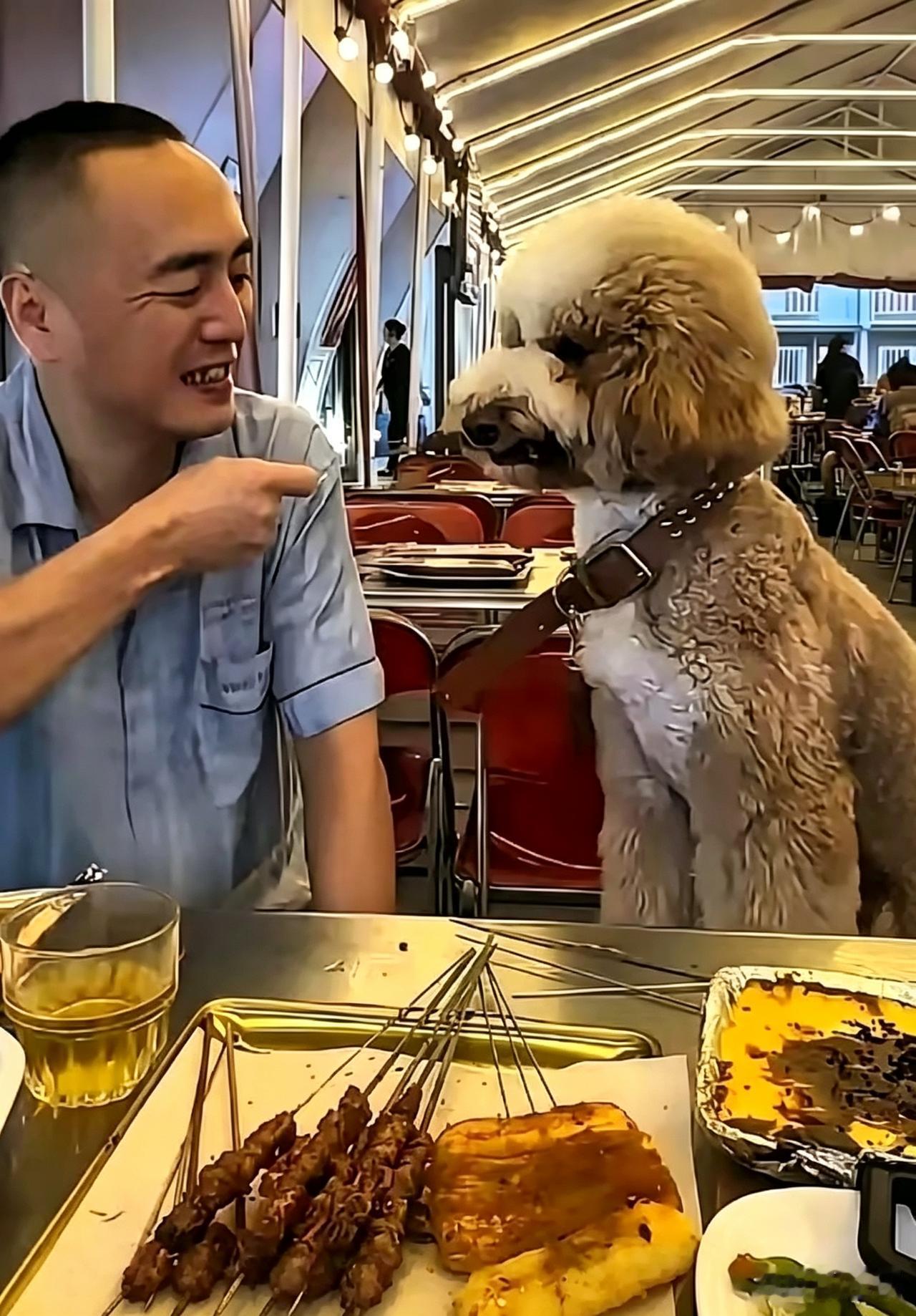 毫无公德！男子带狗上桌撸串，共用餐具沾染口水，整批餐具全部销毁
7月中旬内蒙古包