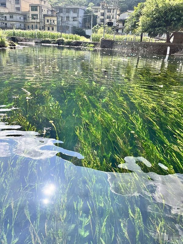 看到“浅浅深深河中水”这个上联，瞬间来了兴致。上联用词巧妙，“浅浅深深”生动描绘