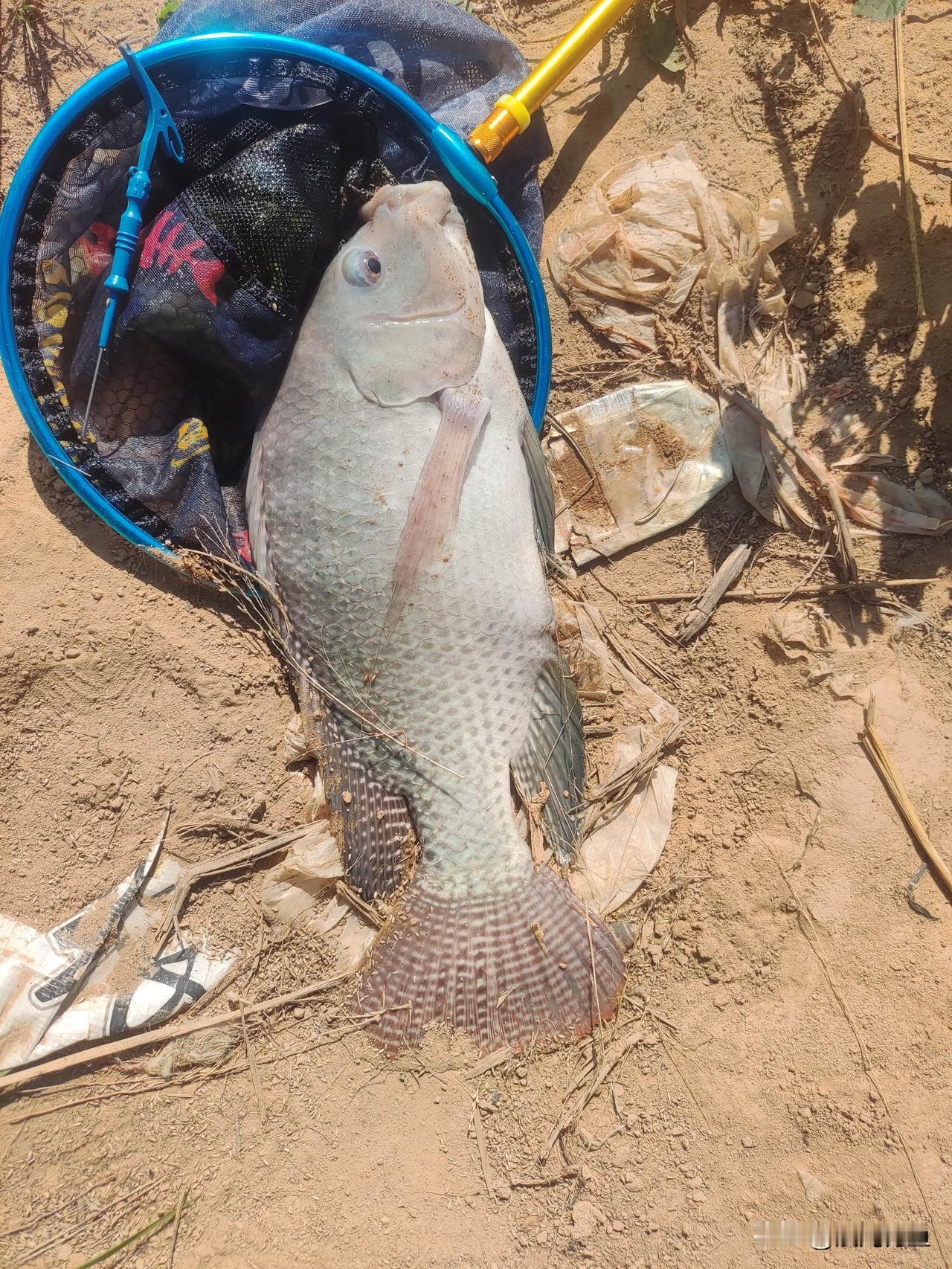 晒晒你的钓鱼日常钓鱼，钓的是周遭那如诗如画、宁静祥和的环境，也是自己内心那片澄明