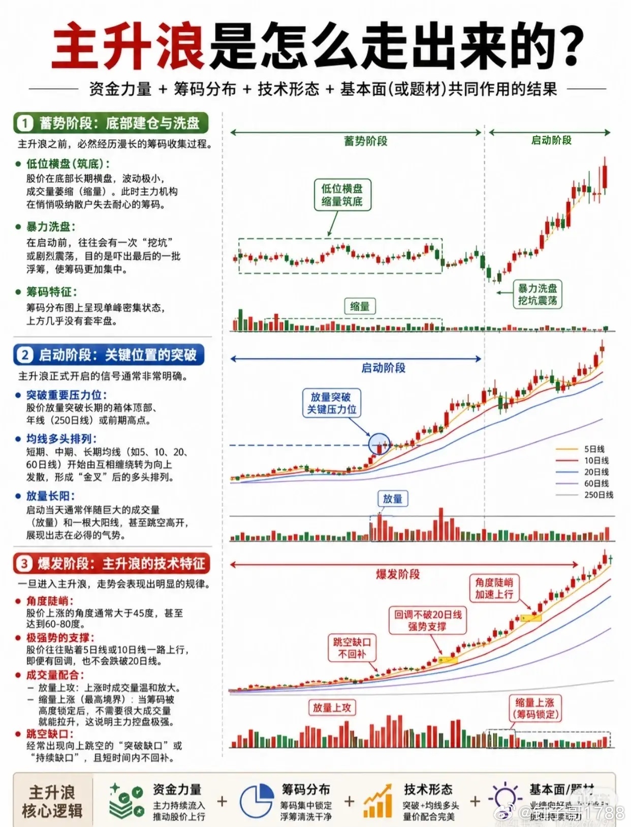主升浪是怎么走出来的？一张图讲透股票从"筑底"到"爆发"的全生命周期！📈很多散