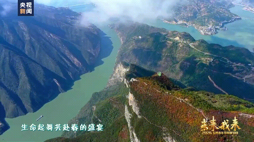 周深一开口生命力溢出屏幕本来只是随便看五四晚会，结果被周深一嗓子圈粉了！《和光同