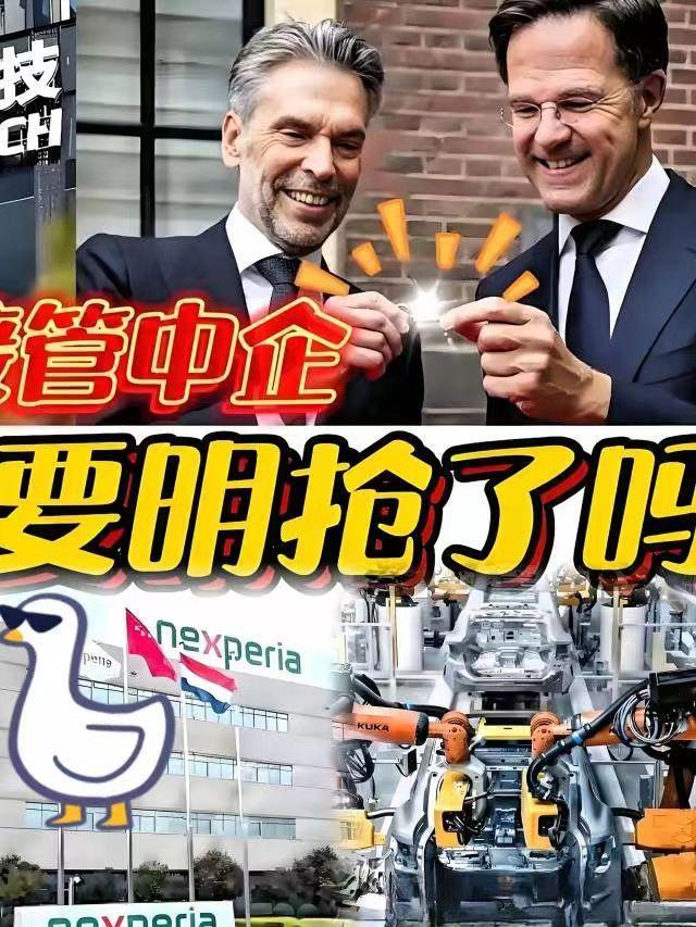 最新消息！
荷兰政府正式宣布：
10月31日有消息称，荷兰禁售DUV光刻机，这步