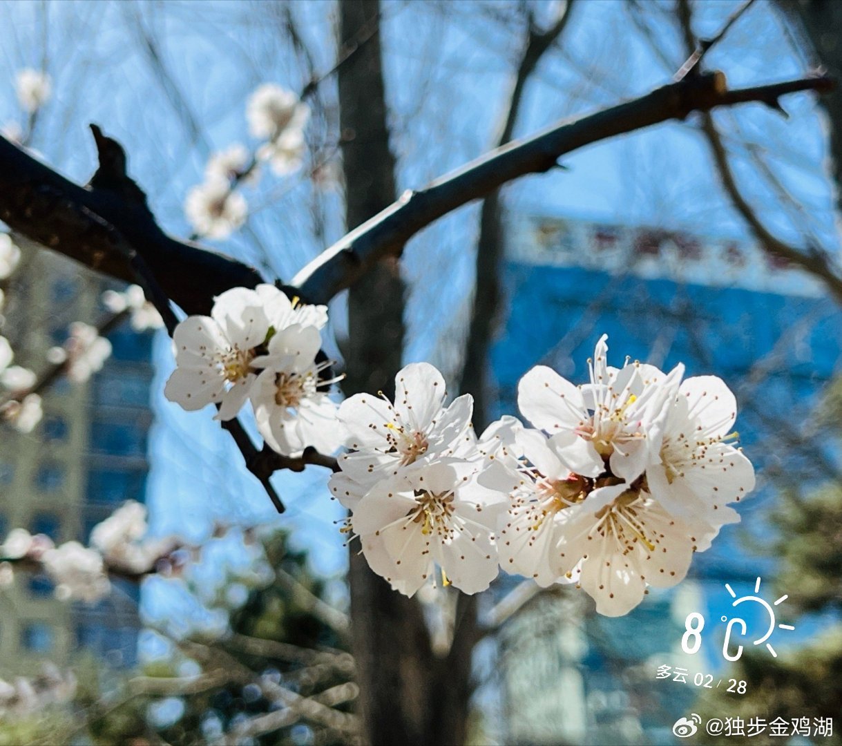 早安       看来要见晴了……     