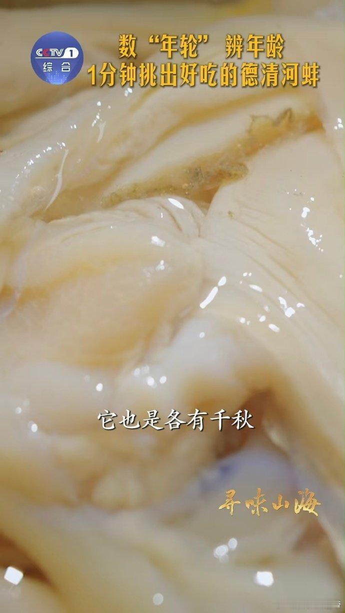 河蚌怎么溜达 原来河蚌也有年轮 河蚌和树一样有年轮，在蚌壳上。挑两三岁的，品品那