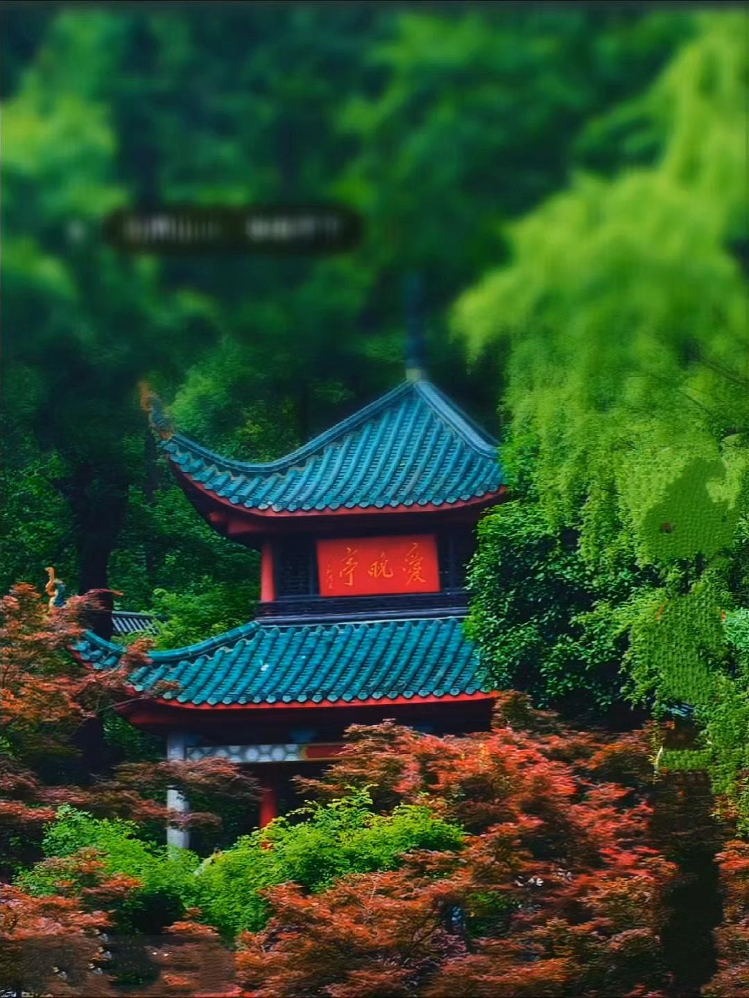 在春天遇见秋天的爱晚亭太奇妙了！原本以为春天是浅粉嫩绿，谁料这里藏着浓墨重彩的红