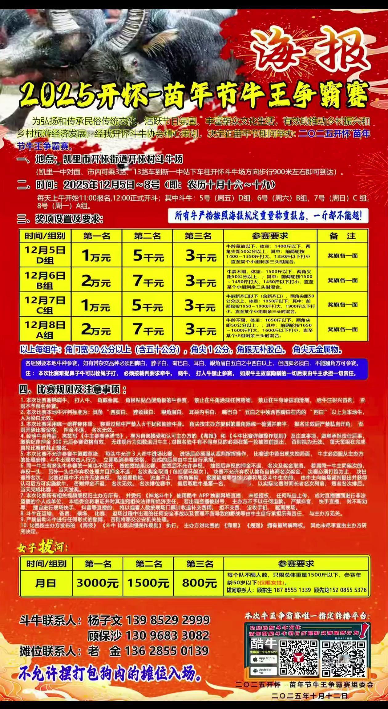 凯里三棵树镇开怀斗牛活动
