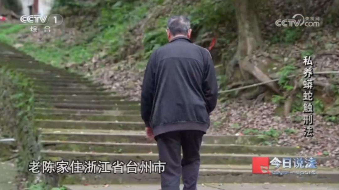 毛骨悚然！浙江台州，一小区居民遇到一条外地蟒蛇，报警之后，警察发现一男子藏身居民