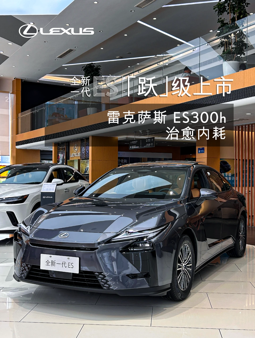 全新一代ES治愈内耗