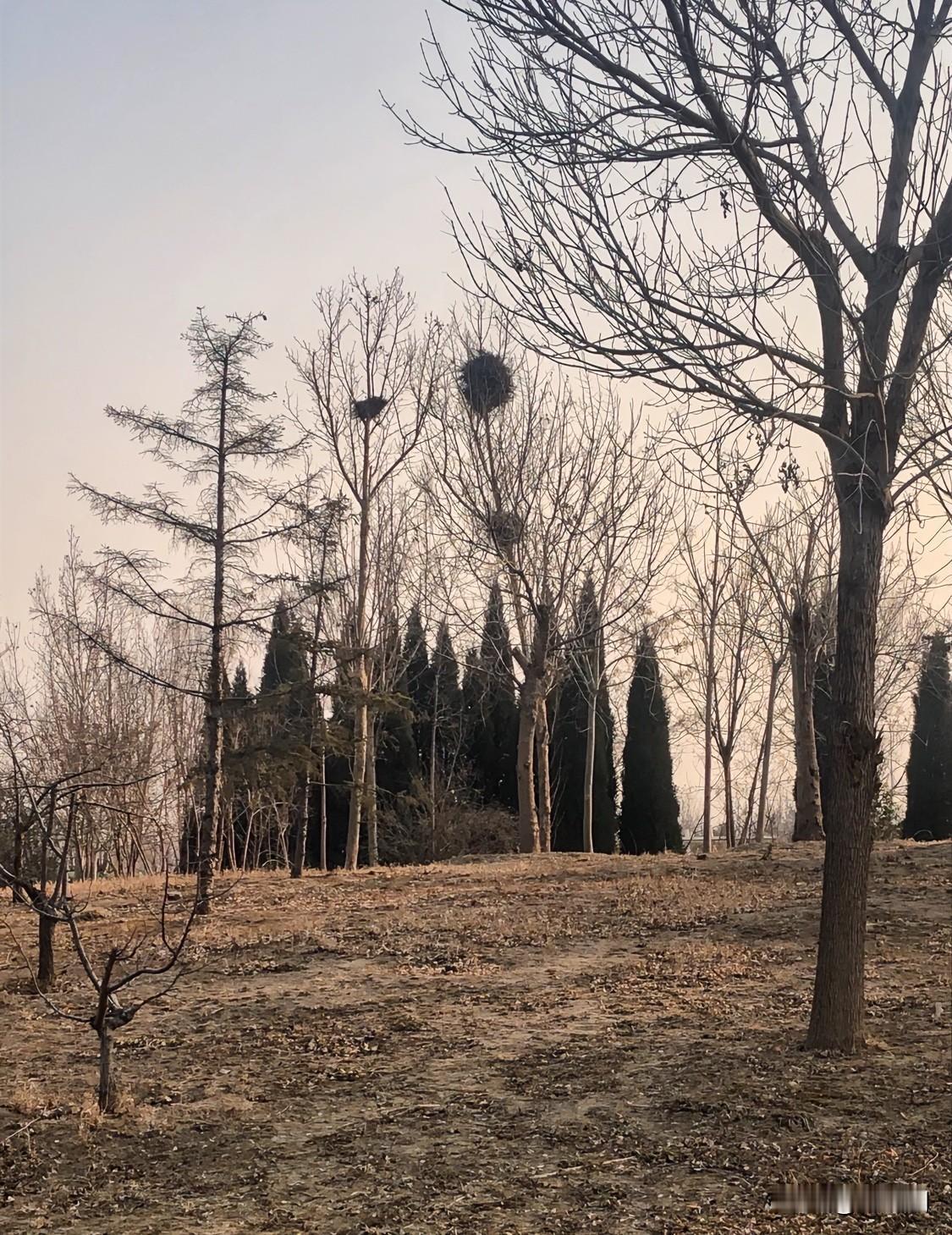 现在全网的人都在说，这2年没买房的人才是大赢家！

话里话外都是讽刺笑话那些住进