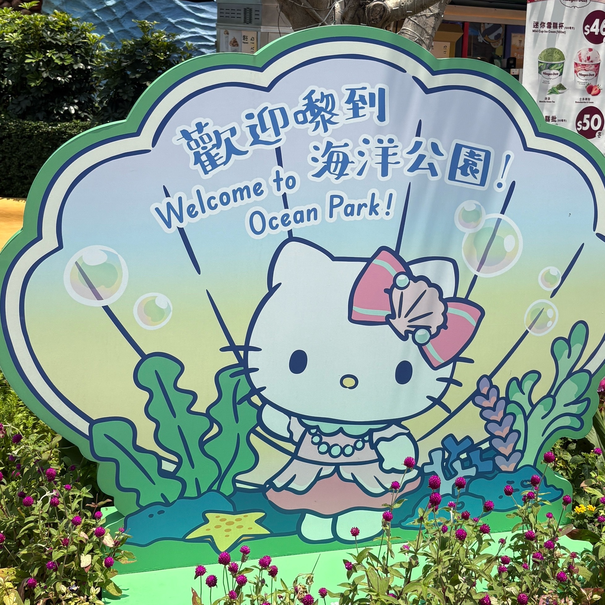 Kitty！Kitty！Kitty！最符合id的一集来了 