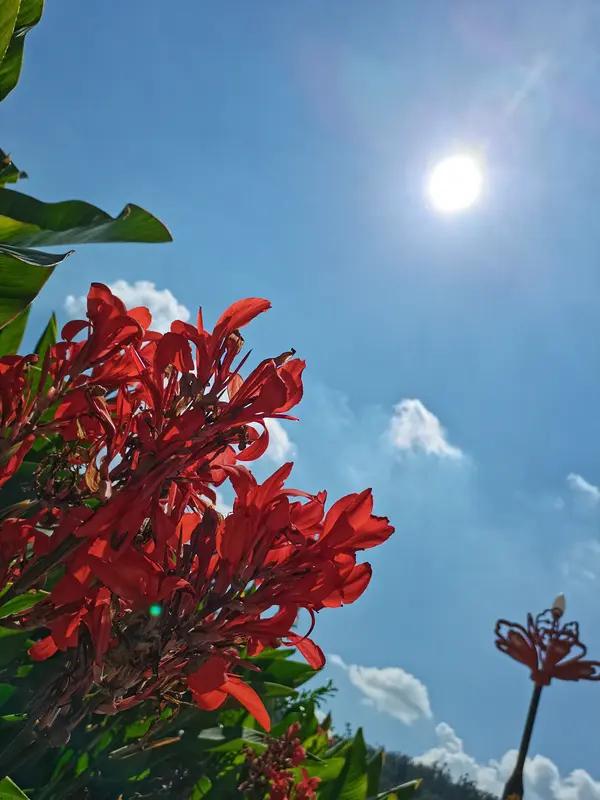 不得不承认，谷谷友这脑洞着实太绝了！竟能将后羿射日与湖南地名联系起来，创意满满当