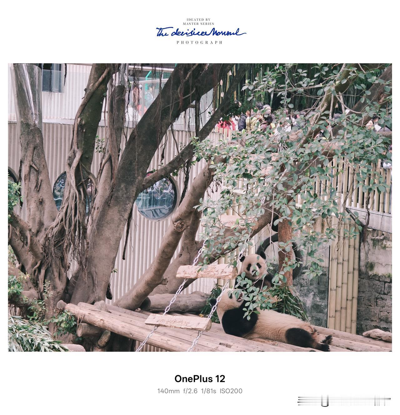 你会选择在近期前往日本旅游吗不会，中国大好河山都还没见识完呢，那小地方哪有中国好