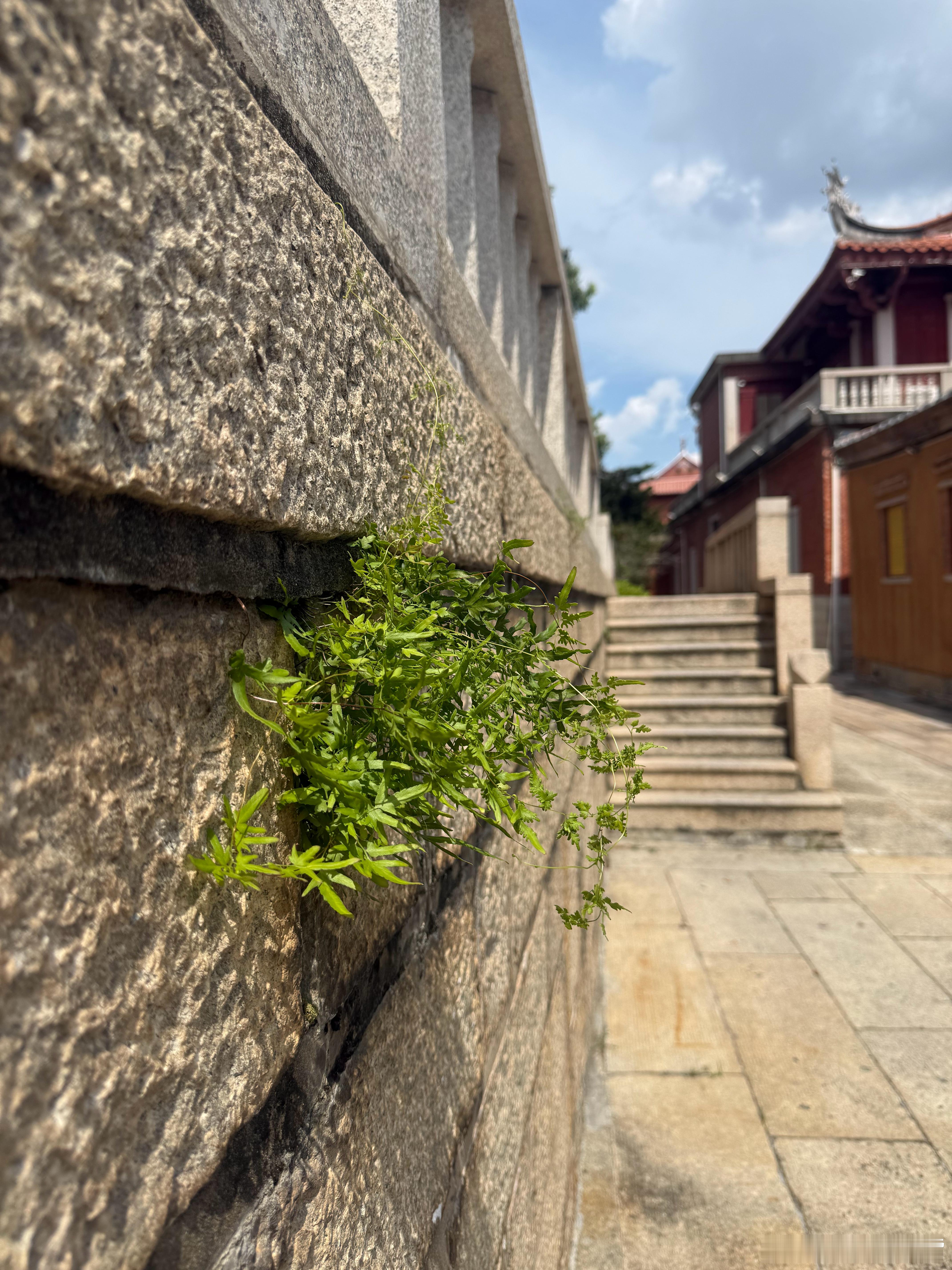 越长大越发现，人生绝大多数的烦恼，都源于我们太过强求。强求事事圆满，强求人心不变