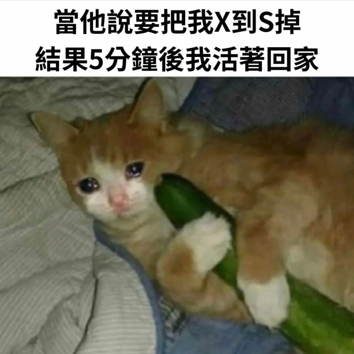 哈哈 就这#meme# ​​​